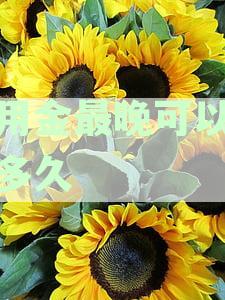 备用金的还款期限有多长时间？如何计算并提前还款？