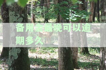 备用金逾期还款时间：七天备用金最多可逾期几天？