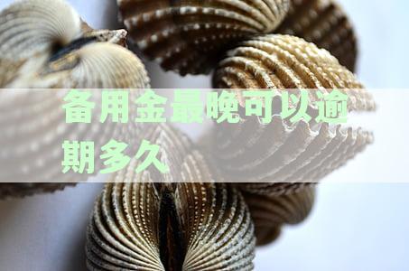 备用金最晚可以逾期多久