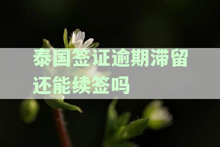 泰国签证逾期滞留后的续签问题解答：过期、期和怎么办？