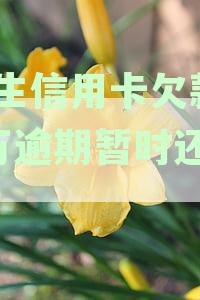 新民生信用卡欠款10万逾期暂时还不上，会面临什么后果和解决方法？