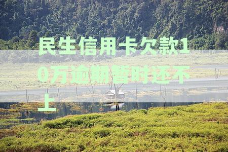 信用卡欠款10万被银行起诉，应如何应对和解决？