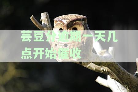 新借款逾期一天，芸豆分期全部还款攻略！如何处理？