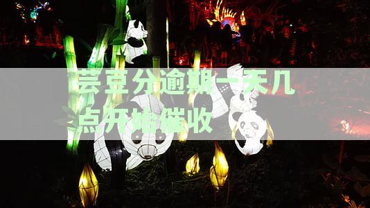 芸豆分借款逾期的解决策略与建议：如何规划还款，避免影响信用？