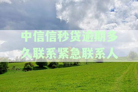 中信信秒贷逾期两天后全清还款，是否还有再次贷款资格？