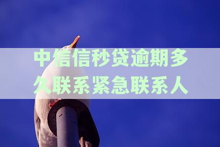 中信信秒贷逾期多久联系紧急联系人