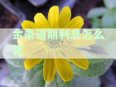 金条的逾期利息太高合法吗？如何应对高利息问题？