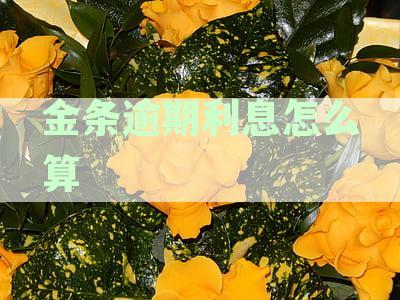 金条逾期利息怎么算