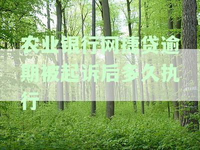 农业银行网捷贷逾期被起诉后多久执行呢？如何查询？