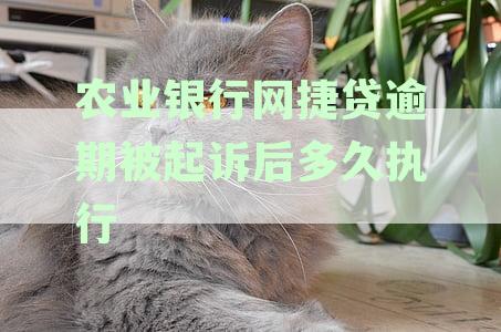 农行网捷贷逾期案件：应对法院诉讼的有效策略和建议