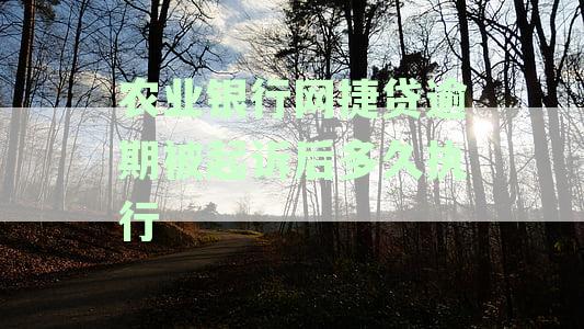 农行网捷贷逾期未还款可能面临的法律后果及对公职的影响：深入分析与解答