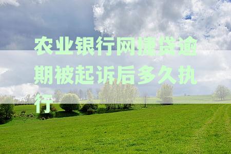 农业银行网捷贷起诉了还能协商还款吗？逾期被法院起诉后多久执行？怎么办？