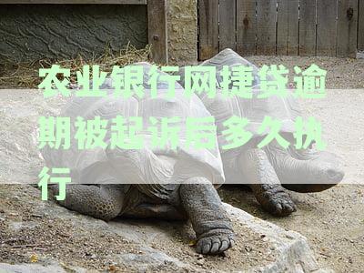 农业银行网捷贷逾期被起诉后多久执行