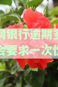 新网银行逾期还款政策详解：逾期多久会被催收？一次性还清的期限是多久？