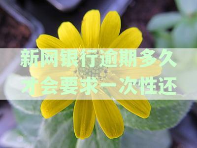 新网银行逾期多久要求一次性还款？如何应对20天逾期一次性还款？