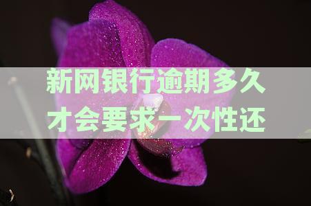新网银行：逾期还款的期限与被起诉的风险
