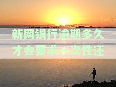 新网银行逾期一年：我的亲身经历、解决方法和注意事，为用户提供全面指南