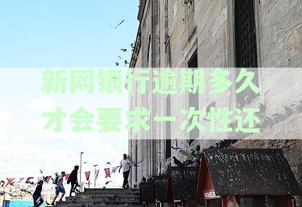 新网银行逾期20天，要求一次性还款怎么办：合理吗？如何办理？