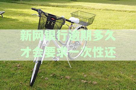 新网银行逾期还款后果分析及其解决方案