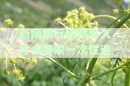 新网银行逾期多久才会要求一次性还