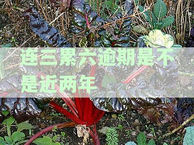 连续三期未还款，信用记录会受到90天的严重影响吗？