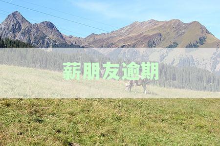 薪朋友逾期借款还款期，如何处理？