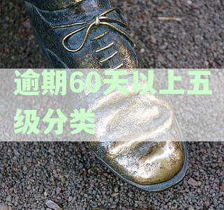 信用卡逾期天数影响贷款信用？五级分类标准解析与建议