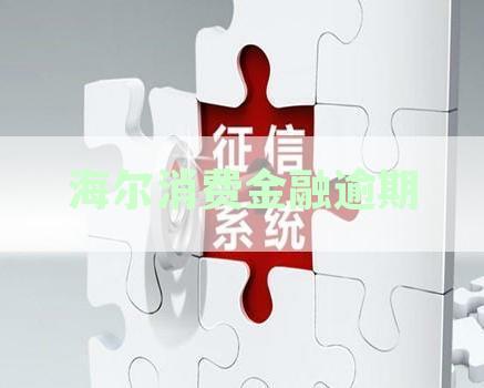 海尔消费金融逾期一天的后果：通讯录被催收人员爆了？多久会收到联系？