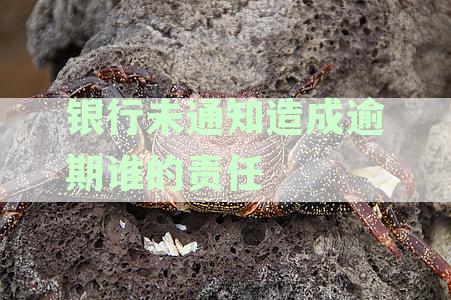 银行未通知造成逾期谁的责任