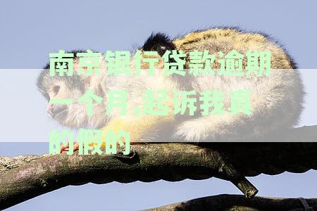 南京银行贷款逾期9个月，本人疯魔病状，起诉真实性与处理方法