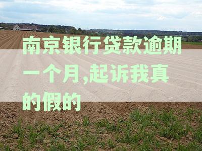 南京地区贷款违约问题解决方案与建议