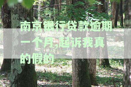 关于南京银行贷款逾期一天是否会产生不良记录的全面解答