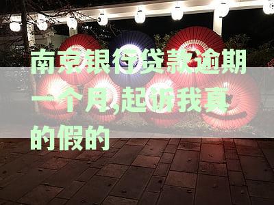 南京银行贷款逾期20天上门真的吗？安全吗？会起诉吗？