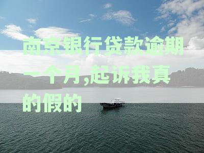 新贷款逾期未还，南京银行将采取法律行动，如何应对？