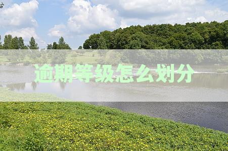 逾期等级怎么划分