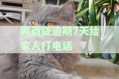 网商贷逾期7天给家人打电话有影响吗：如何处理及可能的催收方式