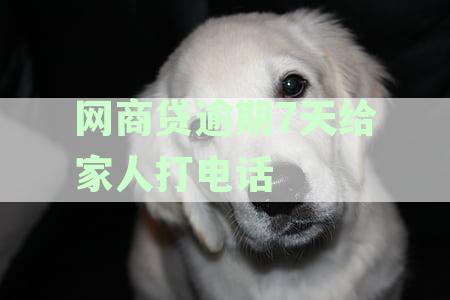 网商贷逾期后是否会联系家人进行催收：探讨可能的情况与影响