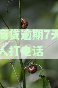 网商贷逾期7天给家人打电话