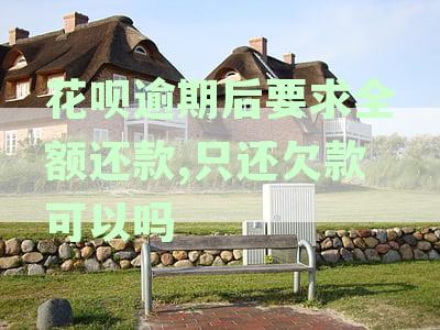花呗逾期还款后仍要求全额还款合理吗？