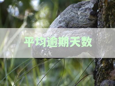 平均逾期天数的理解与公式：如何计算和解读平均逾期天数？