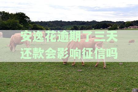 安逸花逾期3天还款后能否正常借款？如何处理？