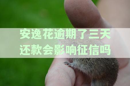 安逸花逾期了三天还款会影响征信吗