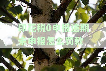 逾期未申报印花税的处理方法与法律风险解析：怎么办？
