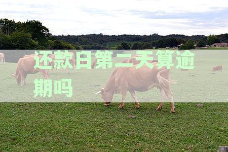 还款日第二天算逾期吗