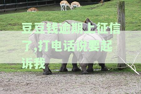 豆豆钱逾期会打单位电话吗-豆豆钱逾期会给公司打电话吗-豆豆钱逾期会打电话给通话记录里的人吗?