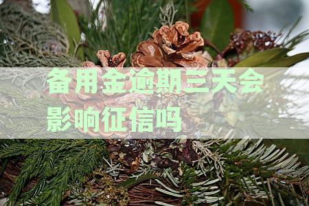 备用金逾期三天会影响征信吗：解决办法全解析。