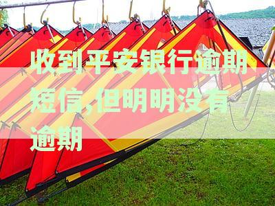收到平安银行逾期短信疑虑？解答常见逾期还款误解及解决方法