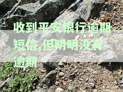关于平安银行的逾期欠款问题，收到催款短信后如何处理？