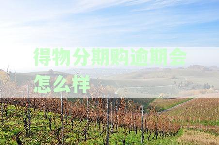 逾期还款多久会触发立案程序？逾期金额与立案标准详解