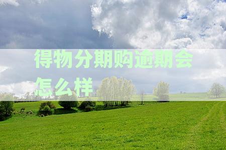 得物分期付款逾期一天后果：你可能要面临这些！